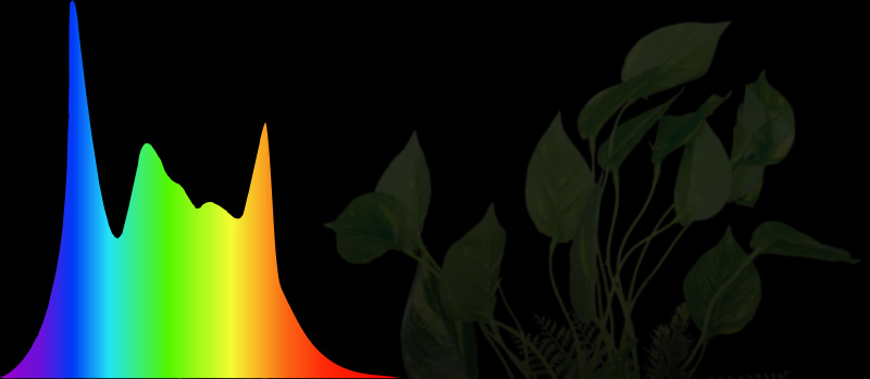 Farbspektrum tropic