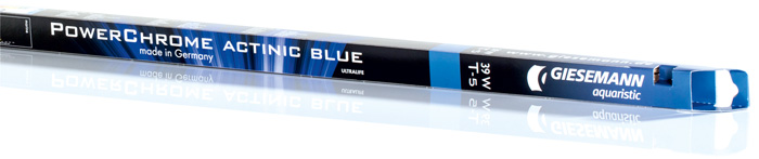 Actinic Blue
