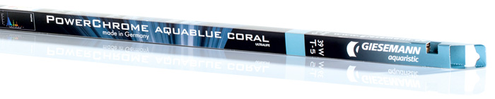 Aquablue Coral