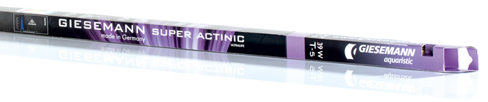 Super Actinic
