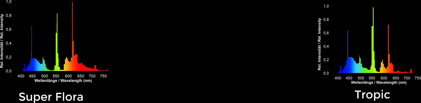 T5 Tropic Farbspektren